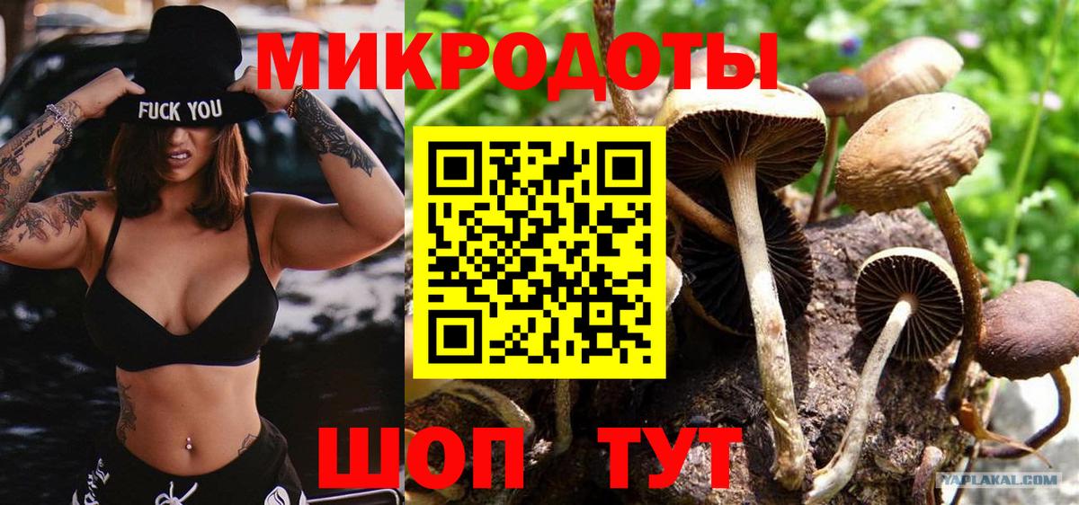 Галлюциногенные грибы Psilocybine cubensis  купить наркотик  Саров  Вход с VPN 